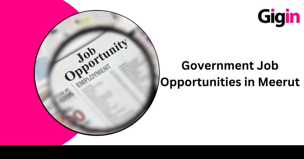 Jobs in Meerut