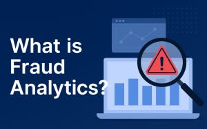 Fraud Analytics